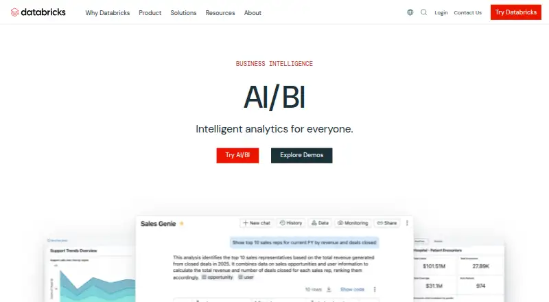 Databricks AI/BI's website