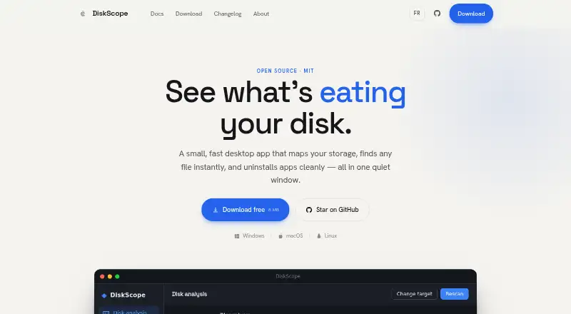 DiskScope's website