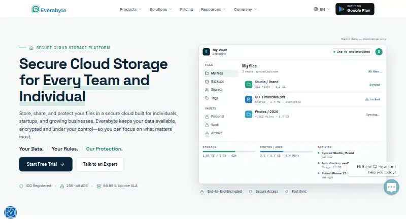 Everabyte's website
