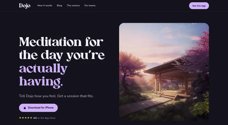 Dojo's website