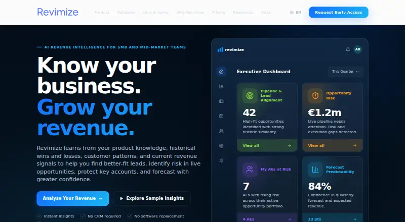 Revimize's website