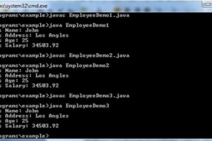 java instance variable output