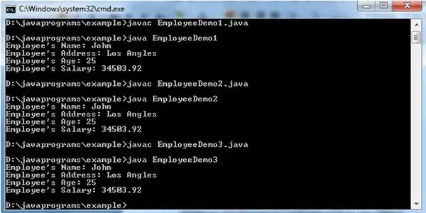 java instance variable output