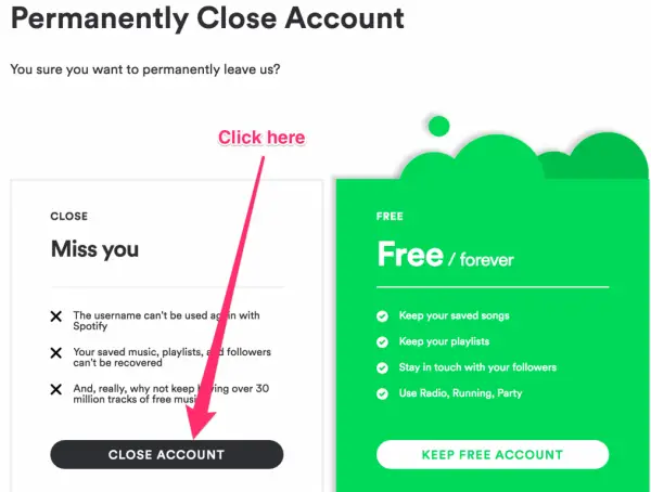 Choose to close Spotify Account