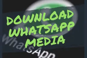 save Whatsapp status image Video