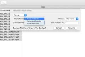 Rename Multiple Files on Mac OSX
