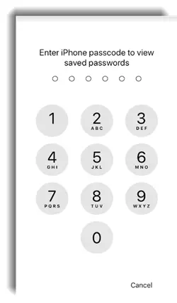 passcode for iPhone