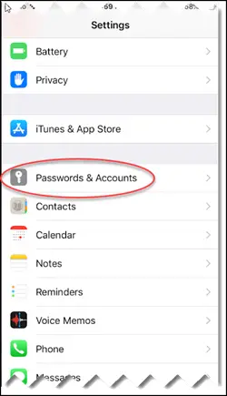 Password And Accounts Settings iPhone