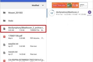 torrent download in android