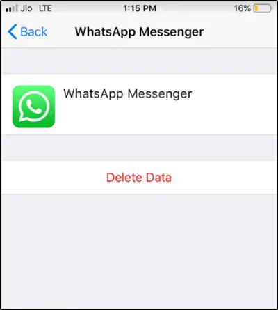 Delete WhatsApp Data from iCloud