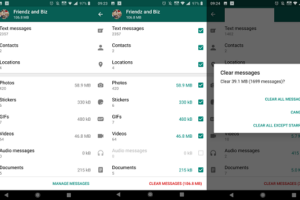 Delete individual file types whatsapp
