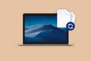 Macos files