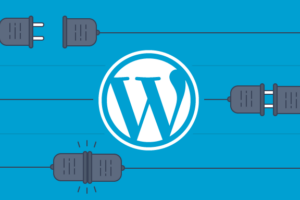 Wordpress plug ins