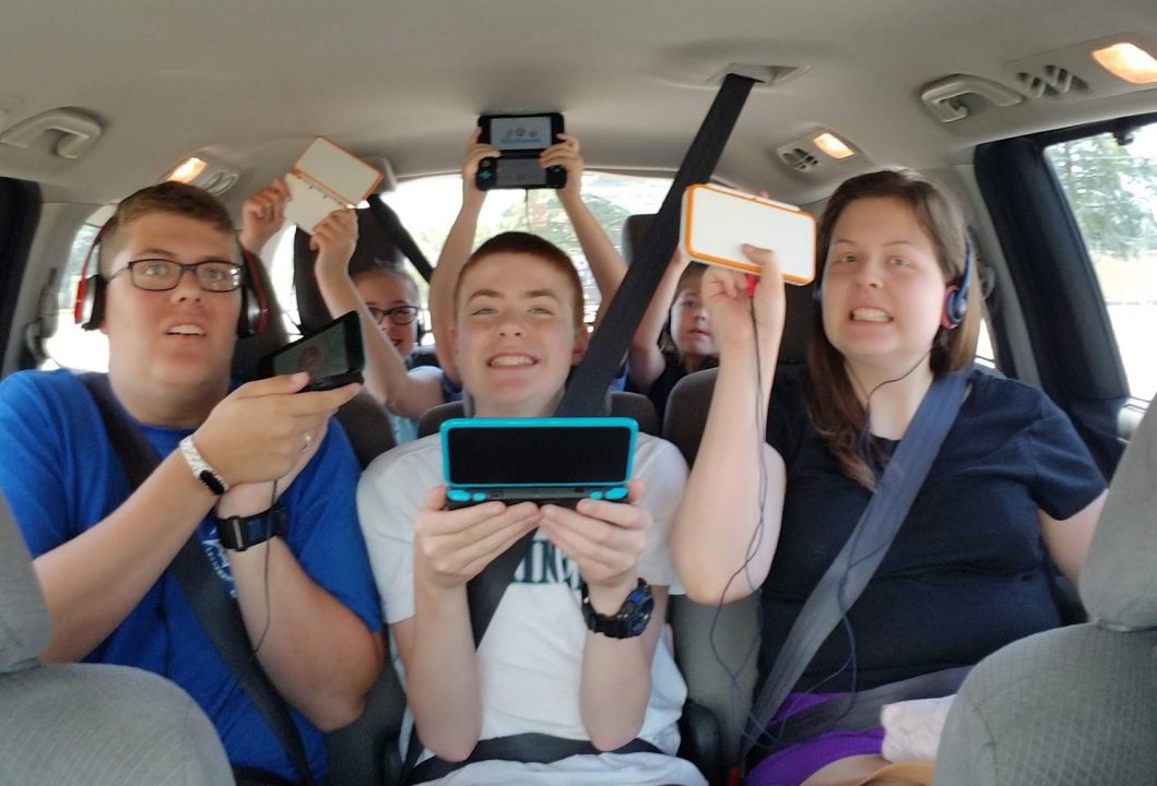 Nintendo 2ds roadtrip