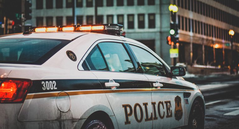 Squad car 1209719