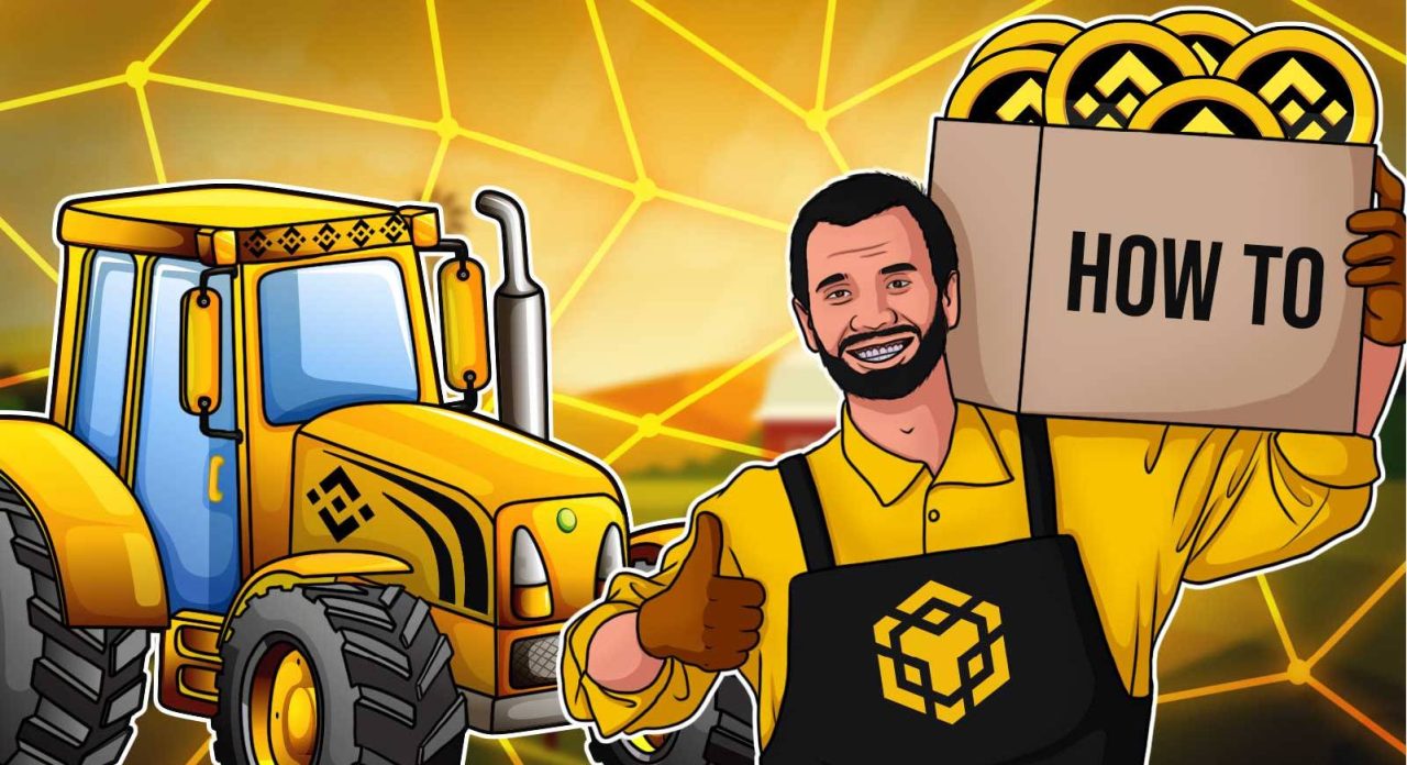 Bnb hotbit main picture